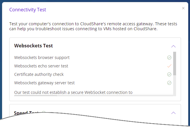 TestWebSocketsResults-Example_081221.png